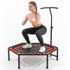 48" Mini Rebounder for Adults with Adjustable Handle Bar, Bungee Ropes, Stable & Quiet, Indoor Outdoor, Whole-Body Workout & Relaxation