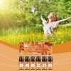 Fall Essential Oils