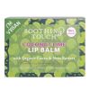 Coconut Lime Vegan Lip Balm | Organic, Ayurvedic, Eco-Friendly Biodegradable Tube | Moisturizing & Nourishing