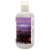 Sunset Blvd Blonde Shampoo by R+Co for Unisex - 8.5 oz Shampoo