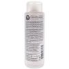 Color Protection Shampoo by ABBA for Unisex - 8 oz Shampoo