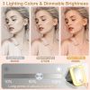 Portable Travel Makeup Bag With LED Mirror Rechargeable Beauty Mirror With 3 Color Light Dimmable Brightness Waterproof Cosmetic Bag With 4 Compartmen